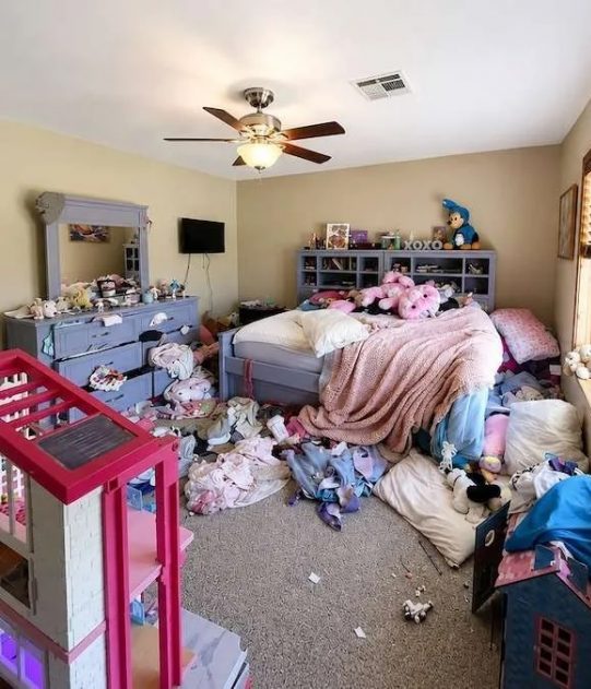 Professional Bedroom Organization Services Before